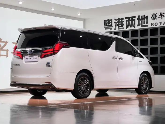 Elfa 2021 Model Hybrid 2.5L Premium Edition – фото 5