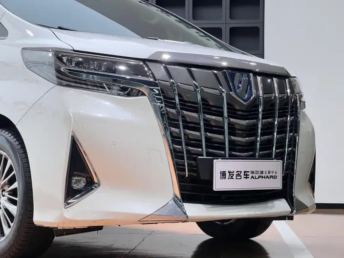 Elfa 2021 Model Hybrid 2.5L Premium Edition – фото 8