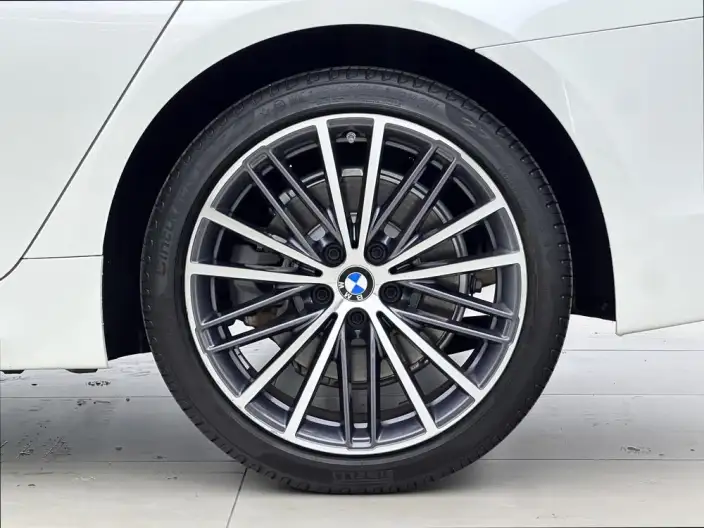 BMW 5 Series 2020 Model 530Li Leading Model M Sports Set – фото 6
