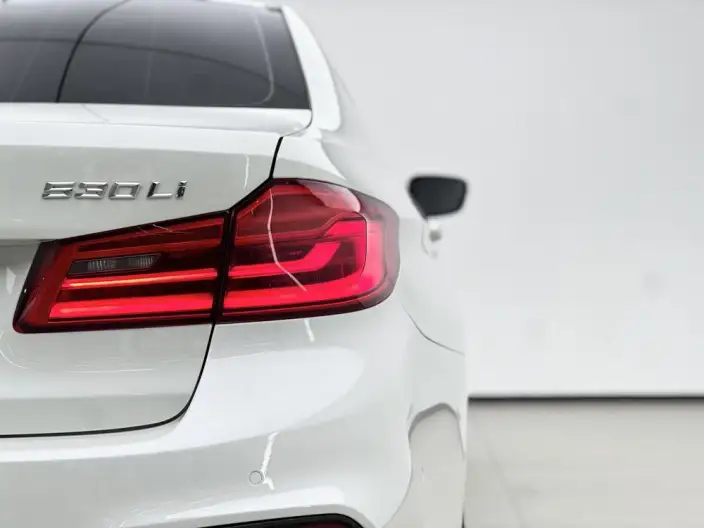 BMW 5 Series 2020 Model 530Li Leading Model M Sports Set – фото 8
