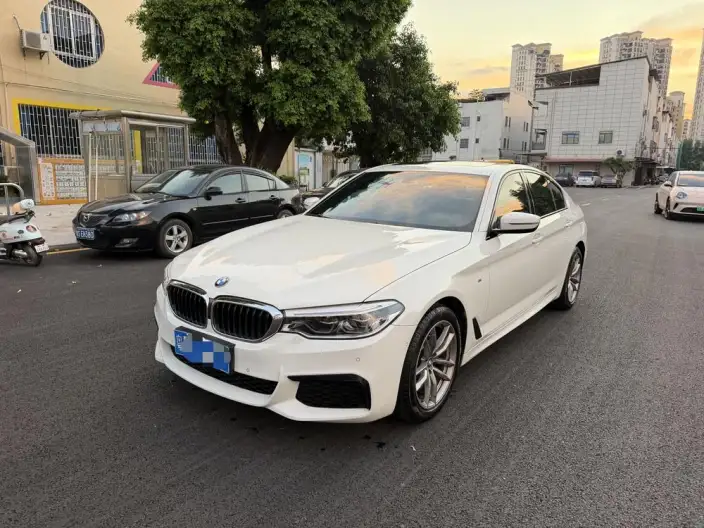 BMW 5 Series Imported 2020 Model 525i M Sports Set – фото 1