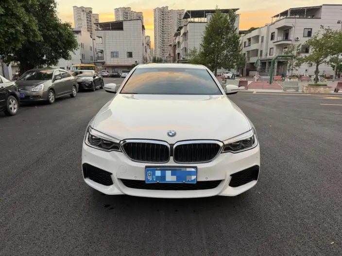 BMW 5 Series Imported 2020 Model 525i M Sports Set – фото 2