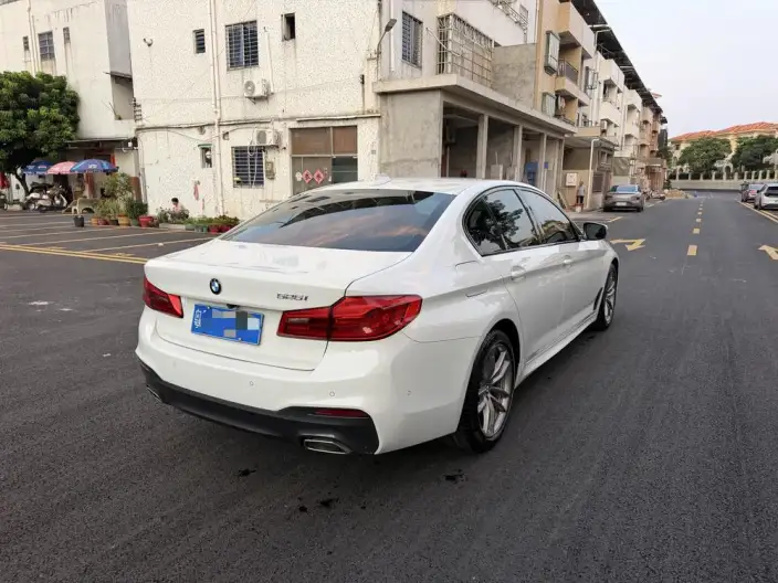 BMW 5 Series Imported 2020 Model 525i M Sports Set – фото 6