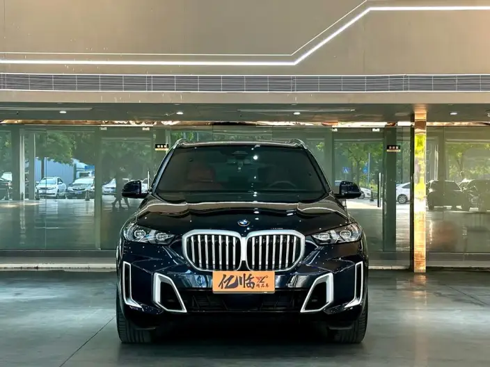 BMW X5 2023 Model xDrive40Li M Sports Set – фото 2