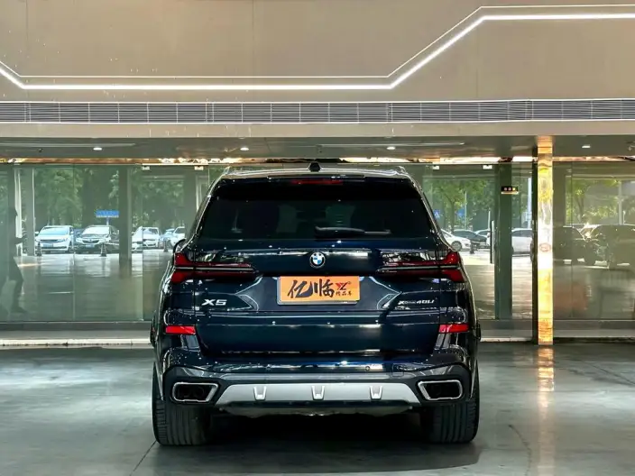 BMW X5 2023 Model xDrive40Li M Sports Set – фото 5