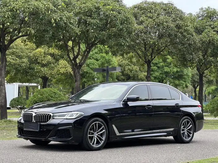 BMW 5 Series 2021 Model 525Li M Sports Set – фото 1