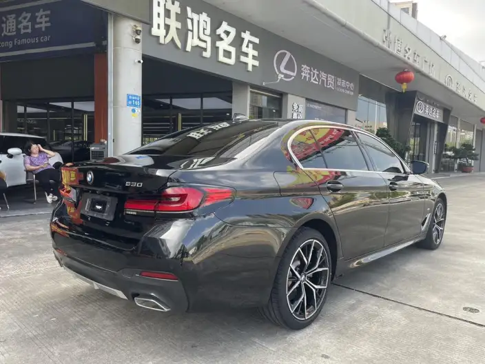 BMW 5 Series 2023 Model 530Li Exclusive Model M Sports Set – фото 6