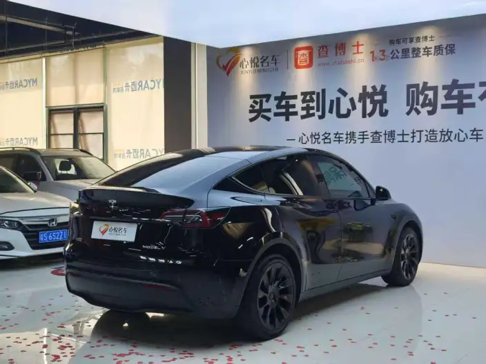 Model Y 2022 Model Long Battery Life Pro All-wheel drive version – фото 6