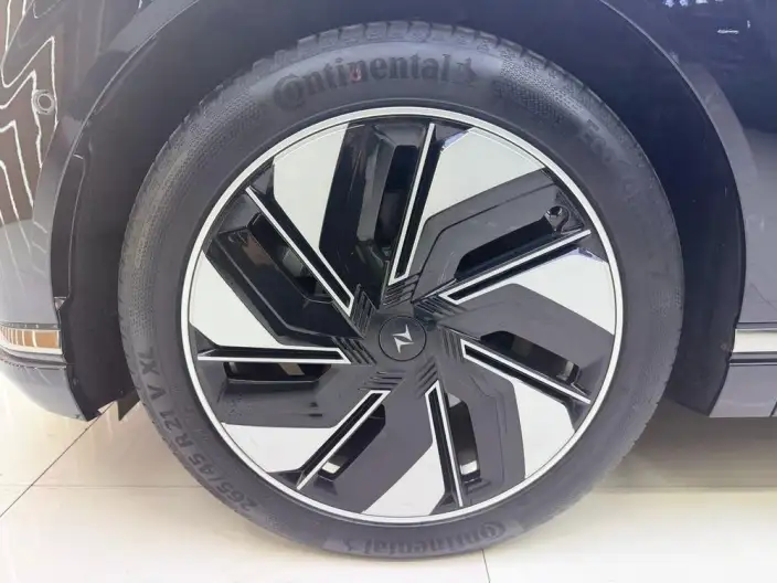eπ 008 2024 Model 210Max Extended Range Edition 6 seat – фото 10