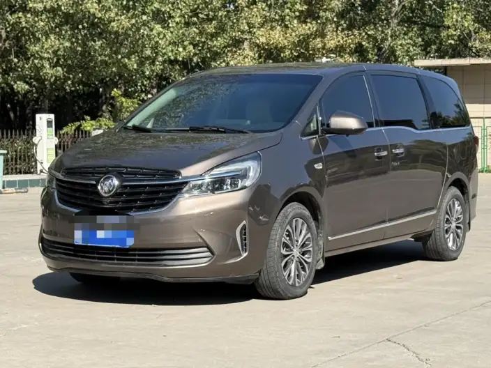 Buick GL8 2020 Model Business class 652T Luxury Model