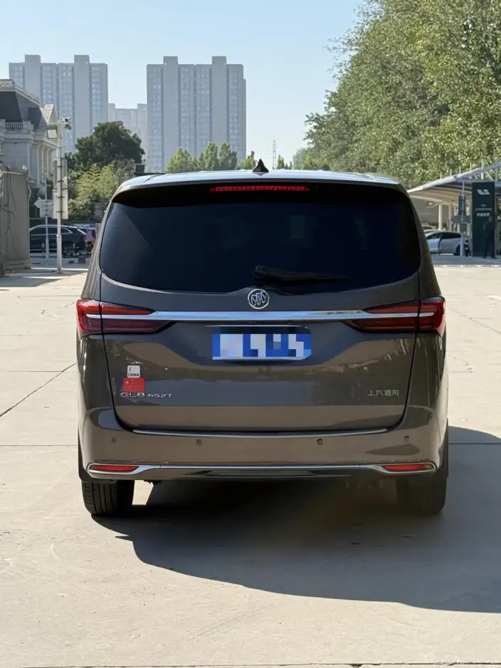 Buick GL8 2020 Model Business class 652T Luxury Model – фото 5