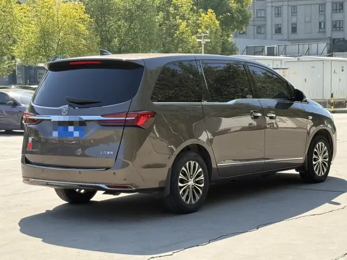 Buick GL8 2020 Model Business class 652T Luxury Model – фото 6