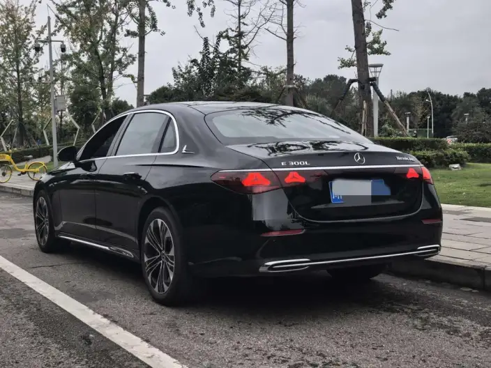 Mercedes-Benz E-Class 2025 Model Facelift E 300 L Luxury Model sedan – фото 4