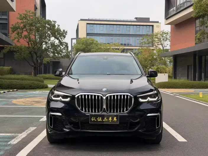 BMW X5 2022 Model xDrive 30Li M Sports Set – фото 2