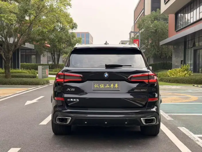 BMW X5 2022 Model xDrive 30Li M Sports Set – фото 5