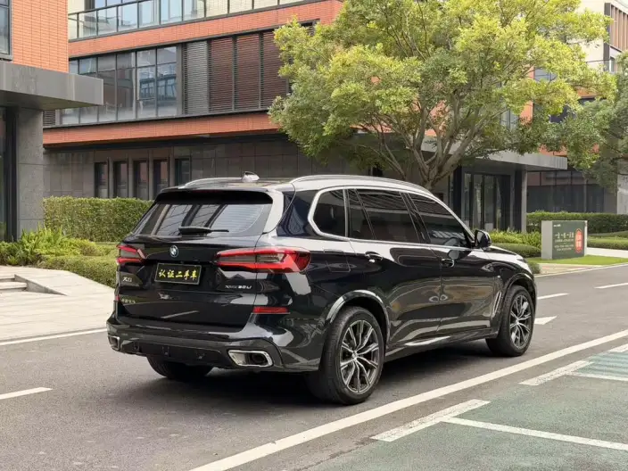 BMW X5 2022 Model xDrive 30Li M Sports Set – фото 6