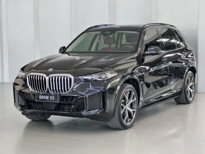 BMW X5 2023 Model xDrive30Li Exclusive Model M Sports Night Set – фото 1