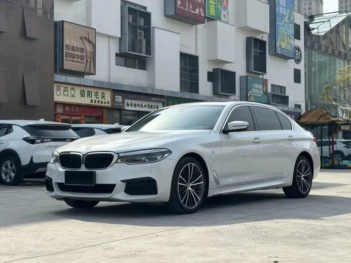 BMW 5 Series 2020 Model 530Li Leading Model M Sports Set – фото 1