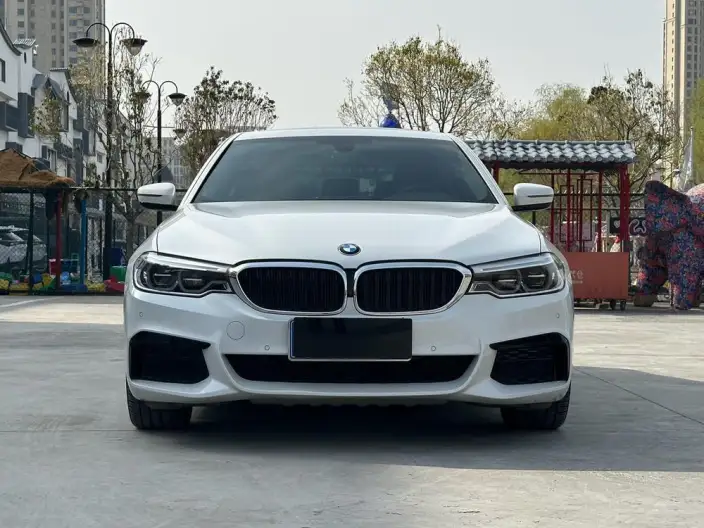 BMW 5 Series 2020 Model 530Li Leading Model M Sports Set – фото 2
