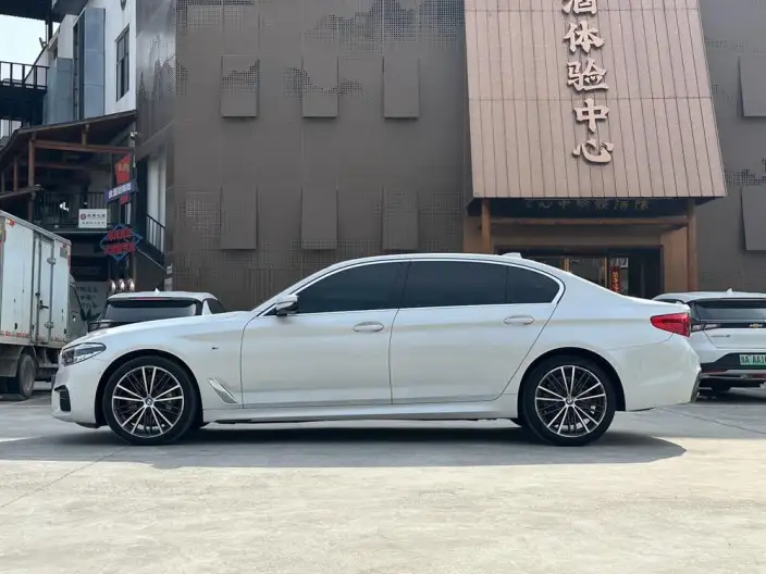 BMW 5 Series 2020 Model 530Li Leading Model M Sports Set – фото 4