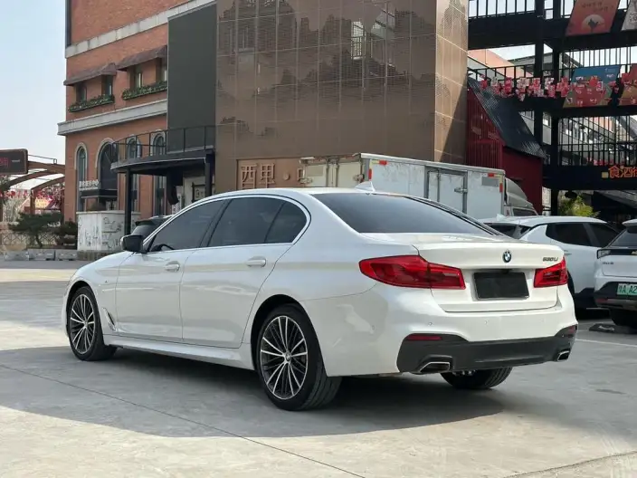 BMW 5 Series 2020 Model 530Li Leading Model M Sports Set – фото 5