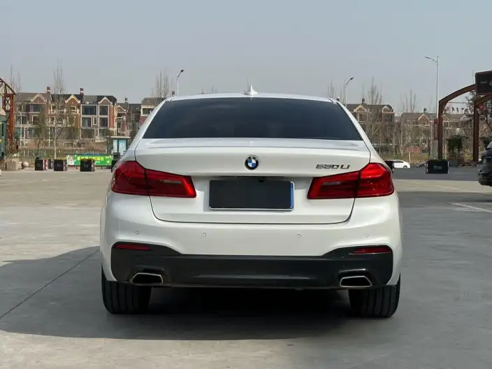 BMW 5 Series 2020 Model 530Li Leading Model M Sports Set – фото 6
