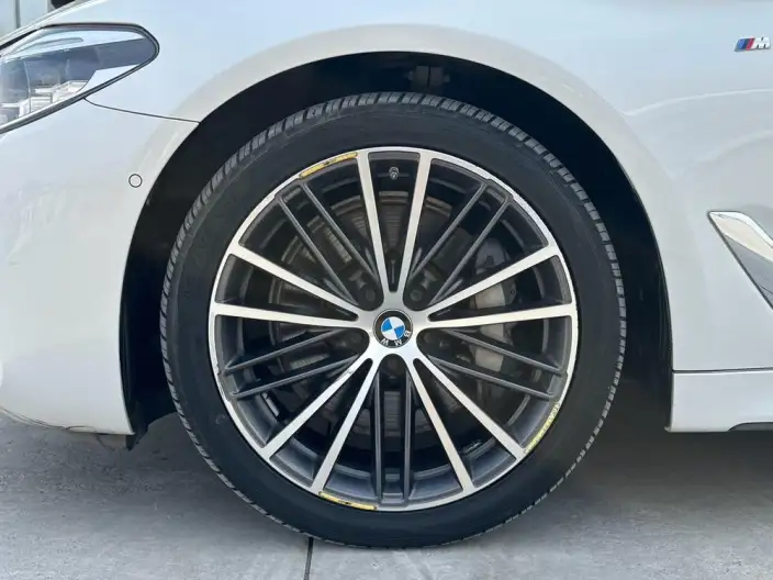 BMW 5 Series 2020 Model 530Li Leading Model M Sports Set – фото 8