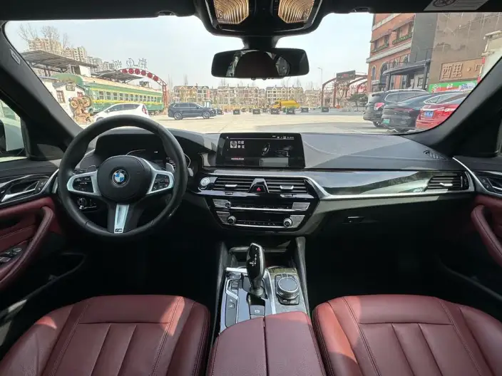 BMW 5 Series 2020 Model 530Li Leading Model M Sports Set – фото 10