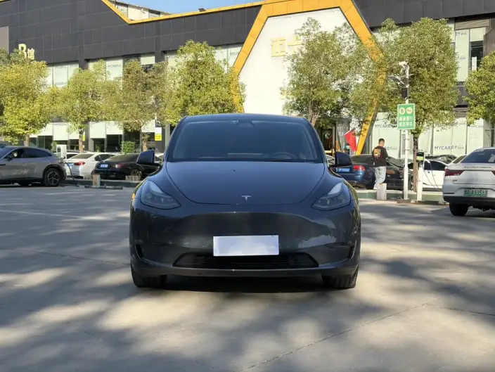 Model Y 2022 Model Long Battery Life Pro All-wheel drive version