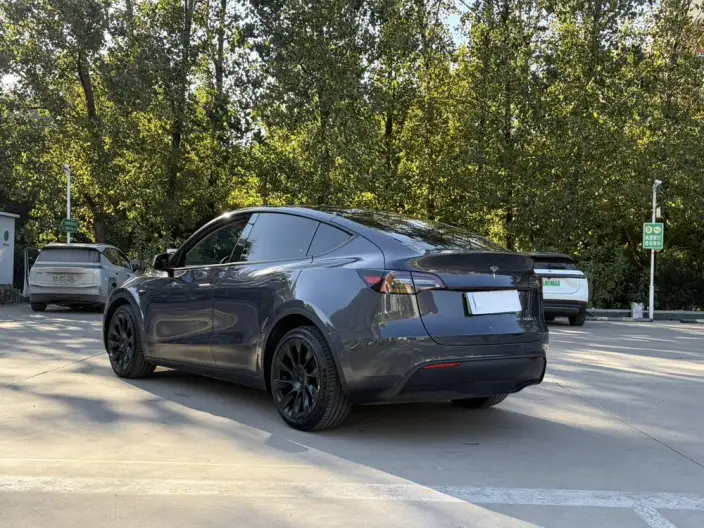 Model Y 2022 Model Long Battery Life Pro All-wheel drive version – фото 4