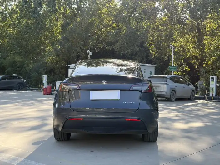 Model Y 2022 Model Long Battery Life Pro All-wheel drive version – фото 5