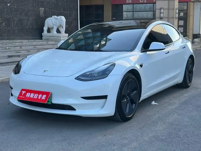 Model 3 2021 Model Standard Battery Life Rear Drive L Class Edition