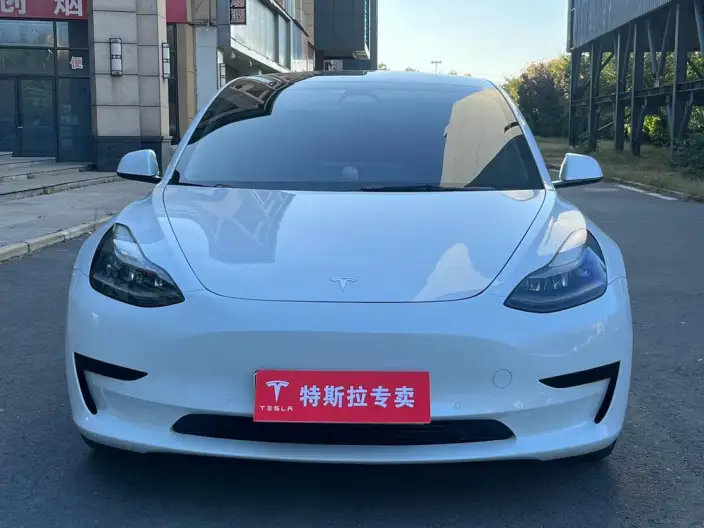 Model 3 2021 Model Standard Battery Life Rear Drive L Class Edition