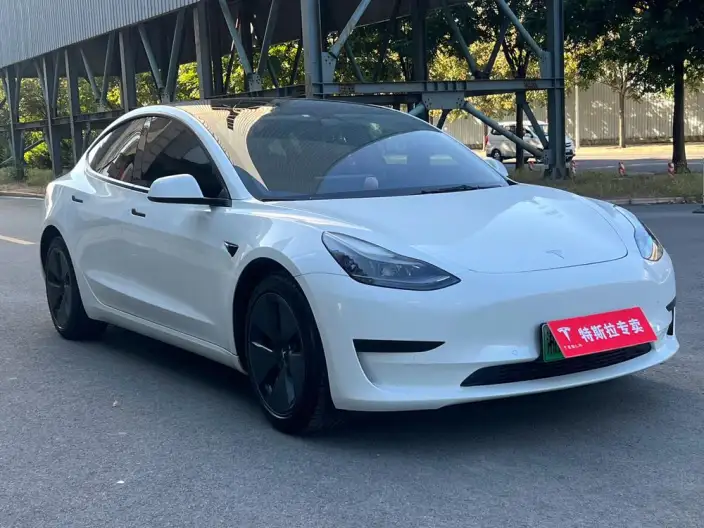 Model 3 2021 Model Standard Battery Life Rear Drive L Class Edition