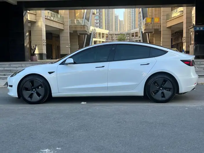 Model 3 2021 Model Standard Battery Life Rear Drive L Class Edition