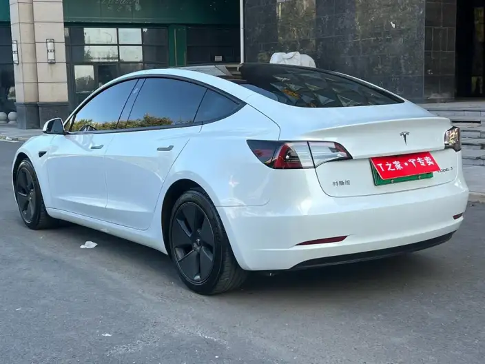 Model 3 2021 Model Standard Battery Life Rear Drive L Class Edition – фото 5