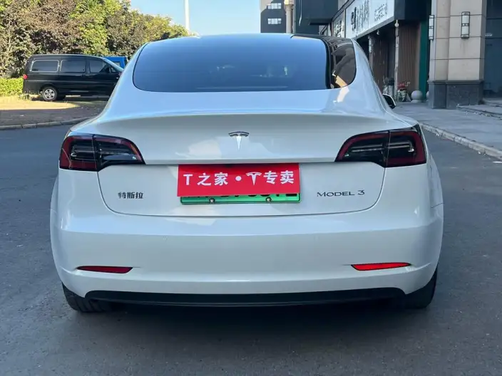Model 3 2021 Model Standard Battery Life Rear Drive L Class Edition – фото 6