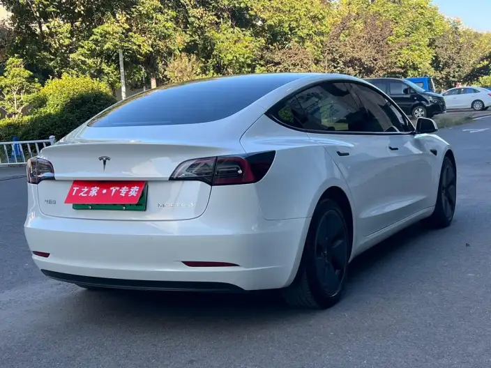 Model 3 2021 Model Standard Battery Life Rear Drive L Class Edition – фото 7
