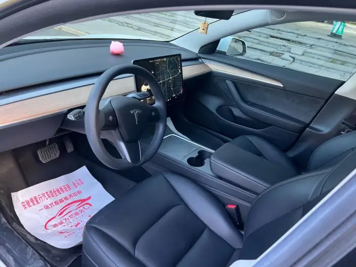 Model 3 2021 Model Standard Battery Life Rear Drive L Class Edition – фото 10