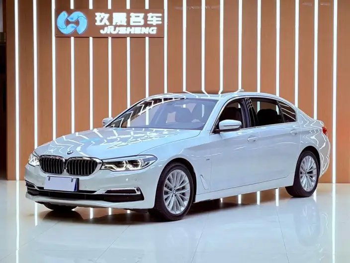 BMW 5 Series 2020 Model 530Li Exclusive Model M Sports Set