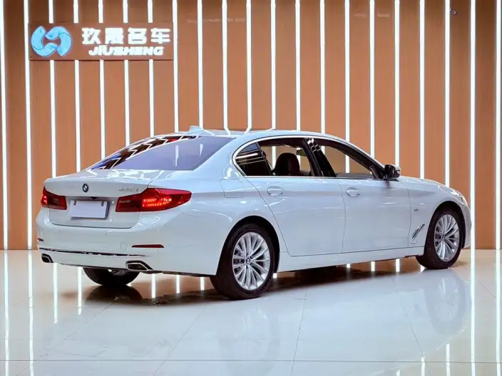 BMW 5 Series 2020 Model 530Li Exclusive Model M Sports Set – фото 6