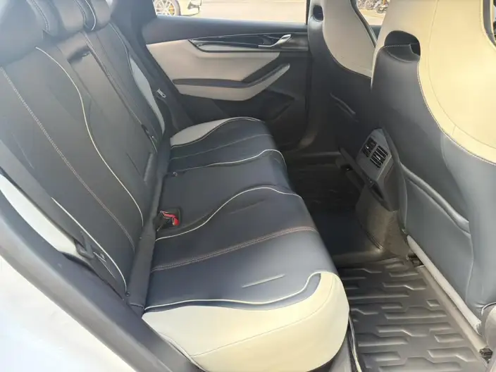 Qin Plus EV 2021 Model 400KM Luxury Model – фото 9