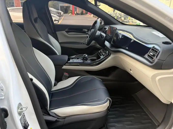 Qin Plus EV 2021 Model 400KM Luxury Model – фото 10