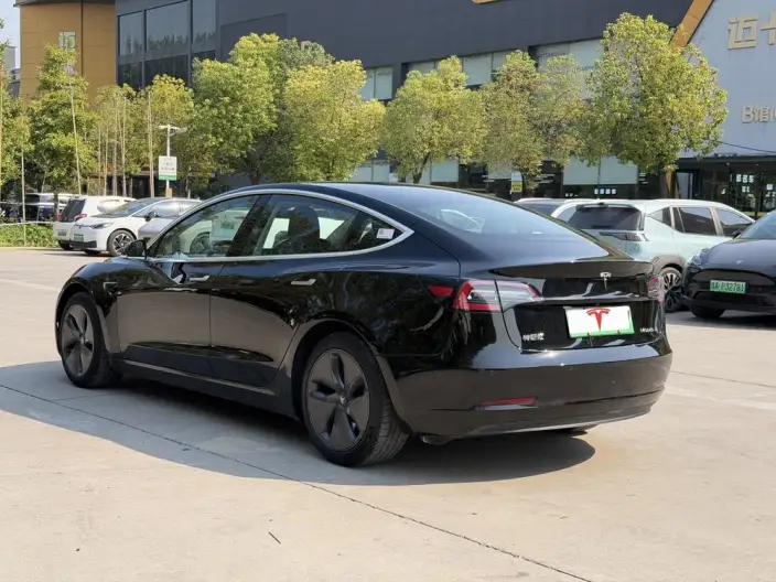 Model 3 2020 Model Facelift Standard Battery Life Rear Drive L Class Edition