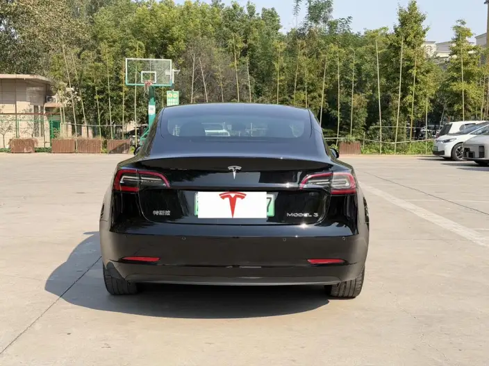 Model 3 2020 Model Facelift Standard Battery Life Rear Drive L Class Edition – фото 5