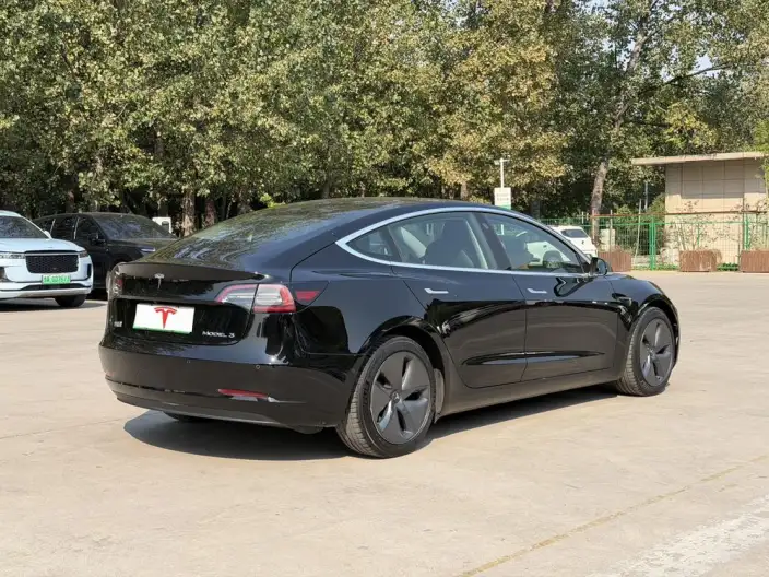 Model 3 2020 Model Facelift Standard Battery Life Rear Drive L Class Edition – фото 6