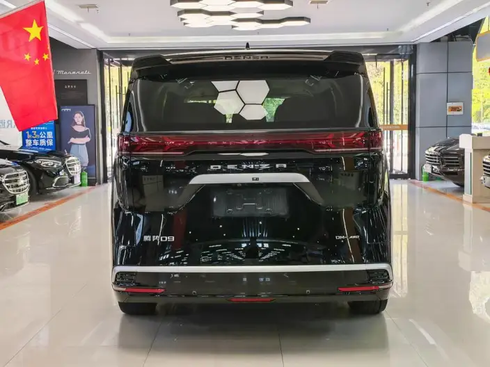 DENZA D9 DM 2022 Model 970 4WD Flagship Model – фото 5