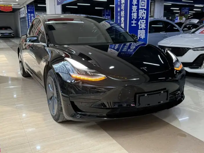 Model 3 2020 Model Facelift Standard Battery Life Rear Drive L Class Edition