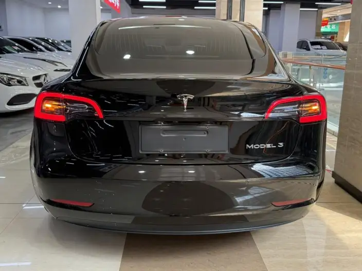 Model 3 2020 Model Facelift Standard Battery Life Rear Drive L Class Edition – фото 5