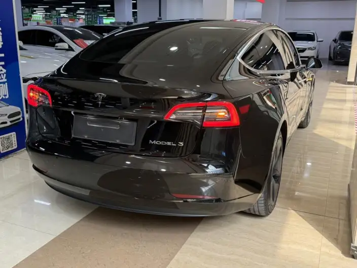 Model 3 2020 Model Facelift Standard Battery Life Rear Drive L Class Edition – фото 6